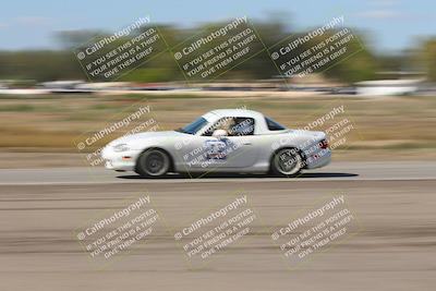 media/Oct-04-2025-OnGrid (Sat) [[44bd565ffa]]/Purple Group/Grapevine/